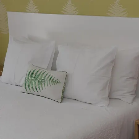 Domus 26 - Guest house